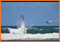 Jet Ski Freestyle Stunts: Water Racing Sports related image