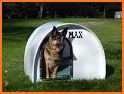 DIY Dog House related image