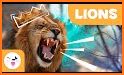 Learning Lions related image