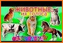 Учим животные для малышей, птицы рыбы и насекомые related image