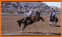 Tucson Rodeo related image