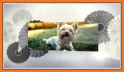 Banfield Pet Health Tracker related image