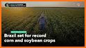 GrainSt - Corn Farming Soybean Farm Markets related image