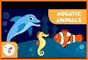 Matching Game - Sea life 🐬🐳 related image