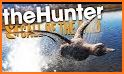 Duck Hunting-Shooting Game related image