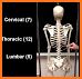 My Skeleton Anatomy related image