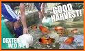 Fish World video of ornamental fish related image