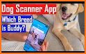 Dog Breed Identifier - Dog Scanner related image