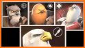 Scream Bird related image