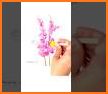 DIY Flower Language Wallpaper related image