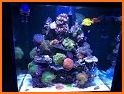 Aqua Reef related image