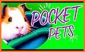 Pocket Pets! related image