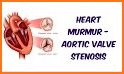 Auscultation ( Heart & Lung Sounds) related image