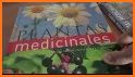 Libro de Remedios caseros naturales related image