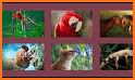 Jigsaw Puzzles Animals Classic related image