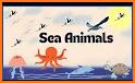 Sea Animals - DuDu Kids多多海洋动物 related image