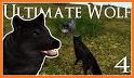 Ultimate Wolf Simulator related image