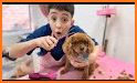 Pet Hair Salon For Toddlers related image