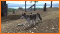 Ultimate Wolf Simulator 2 related image