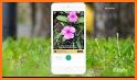 Plant Story - Plant Identifier & Gardening related image