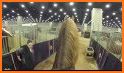 Show Horse Pro Professional related image