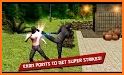 Ninja Kung Fu Fighting 3D – 2 related image