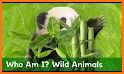 Guess Animal - Kids Game related image