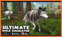 Wolf Simulator -  Animal World related image