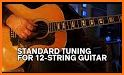 Music Toolkit - 12 String Guitar Tuner related image