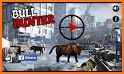 Bull Attack Hunter Rampage related image