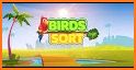 Bird Color Sort - Match Puzzle related image