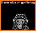 Gorilla Tag Wallpapers related image