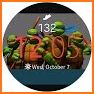 Photo Watch Face Pro related image