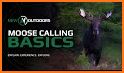 iHUNT Calls Moose related image