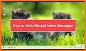 Voice Exporter for Wechat (Pro) related image