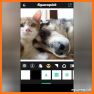 NoCrop Photo Editor : Square Pic, Square Fit related image