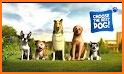 Dog Sim Free Animal Games :Dogs Pet Games Offline related image