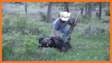 Wild Swine Hunting Calls related image