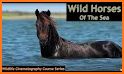 Wild Animals Racing: Racing Battle 2019 related image