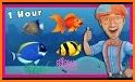 Kid-E-Cats: Sea Adventure. Preschool Games Free related image