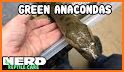 Anaconda Snake Simulator 2019 related image