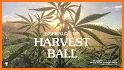 Harvest Ball 2021 related image