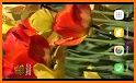 Tulip Flower Theme Launcher related image