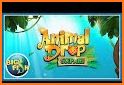 Animal Drop – Free Match 3 Puzzle Game related image