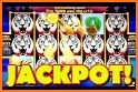 Slots Super Tiger Casino Slots related image