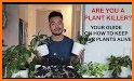 Planta - Keep your plants alive related image