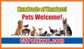 165+ Animal Sounds related image