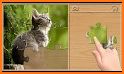 Animals Jigsaw Puzzle for kids related image