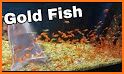 Aquarium Battle - Fish And Feed related image