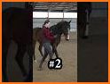 Polework Horse Riding Training related image